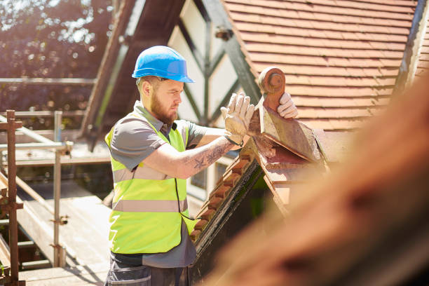 Best Gutter Installation and Roofing  in Winchester, IL