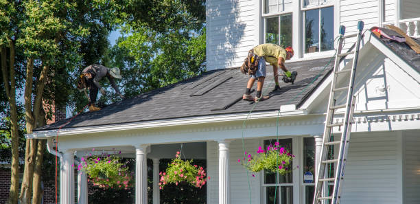 Best Roof Repair Services  in Winchester, IL